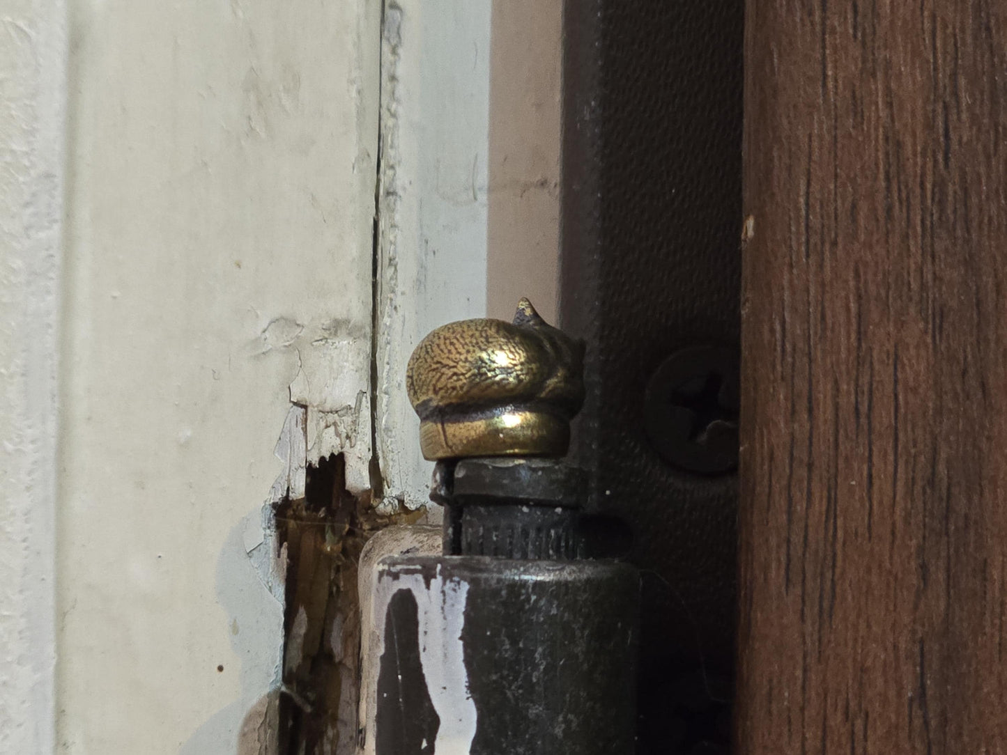 Little Kitten Cat Hinge Head Topper