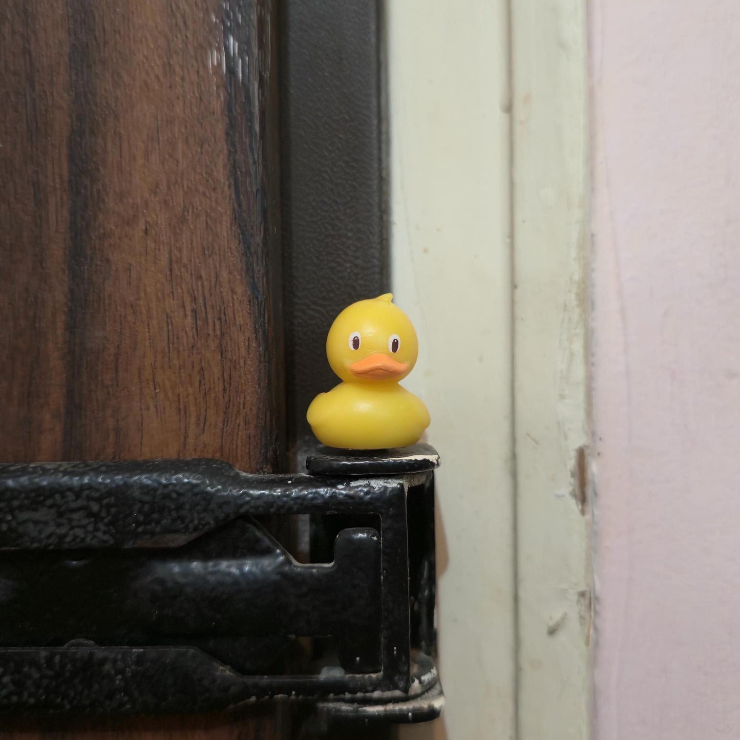 Yellow Duck Hinge Head