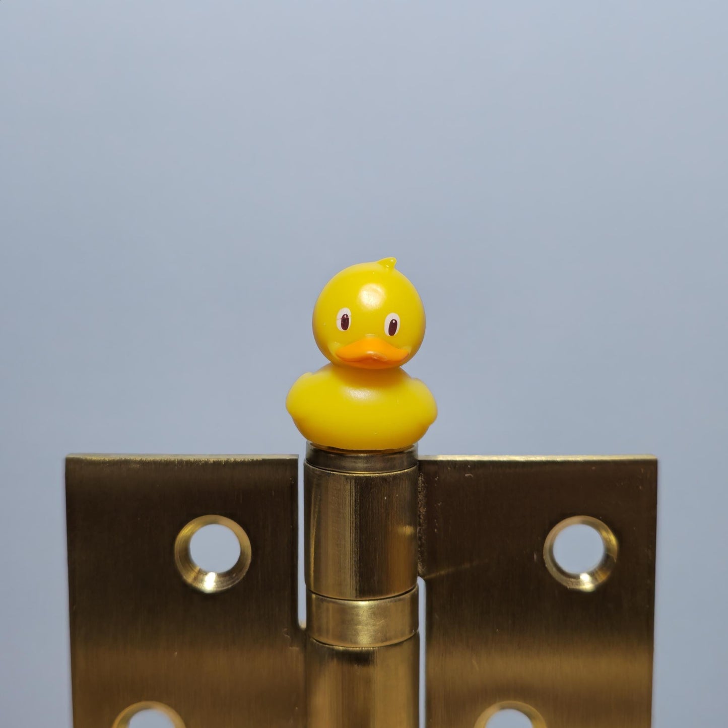 Yellow Duck Hinge Head