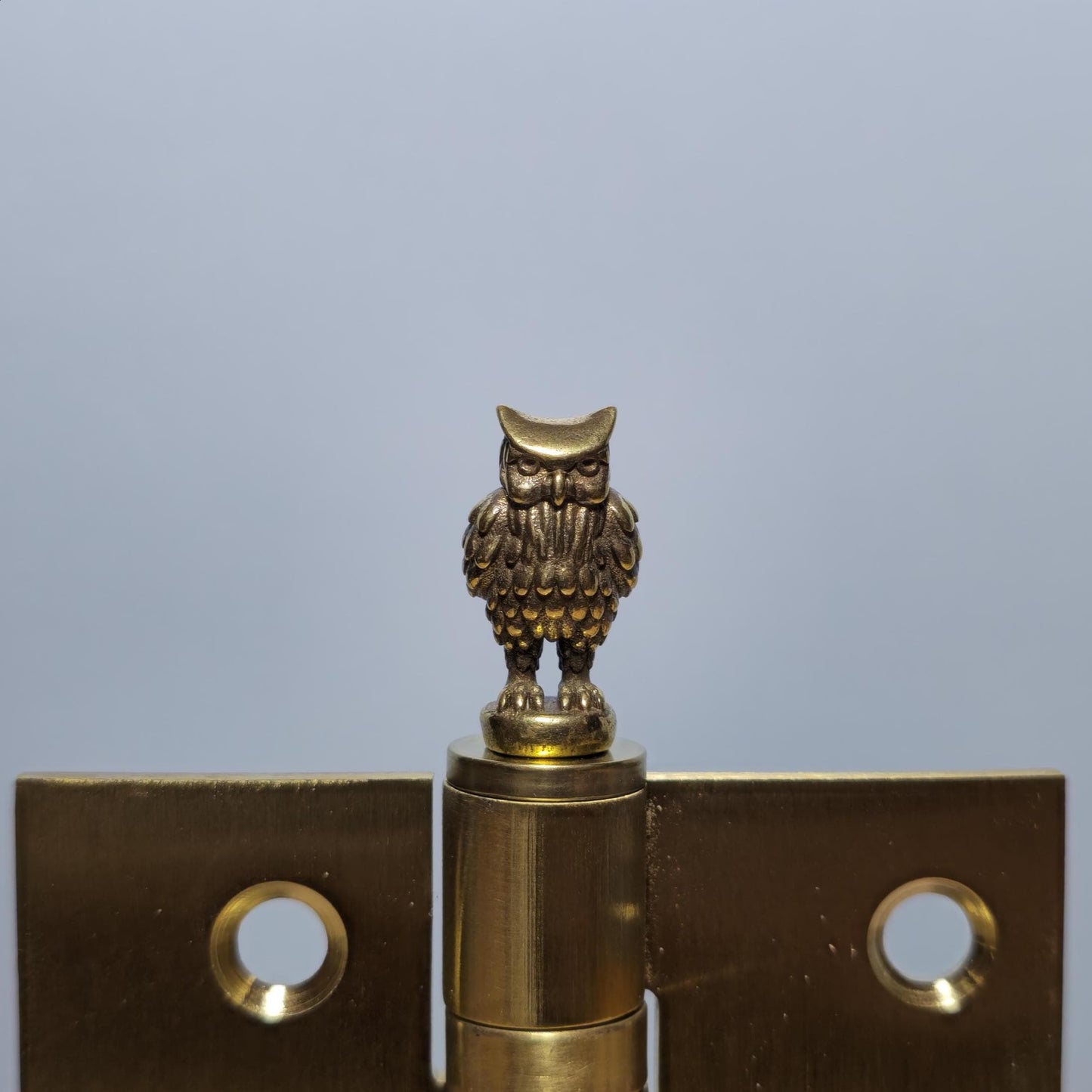 Owl Hinge Head