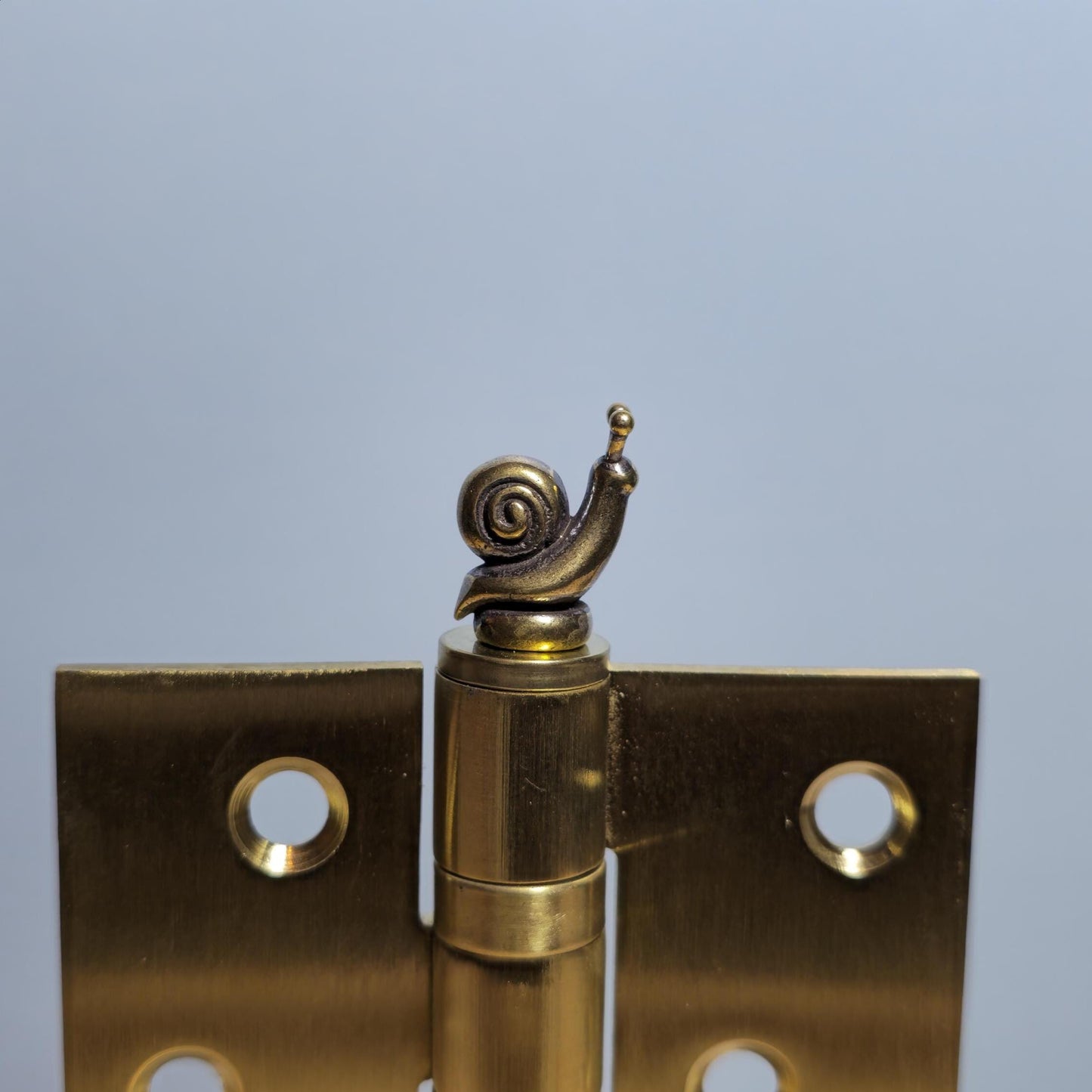 Snail Hinge Head