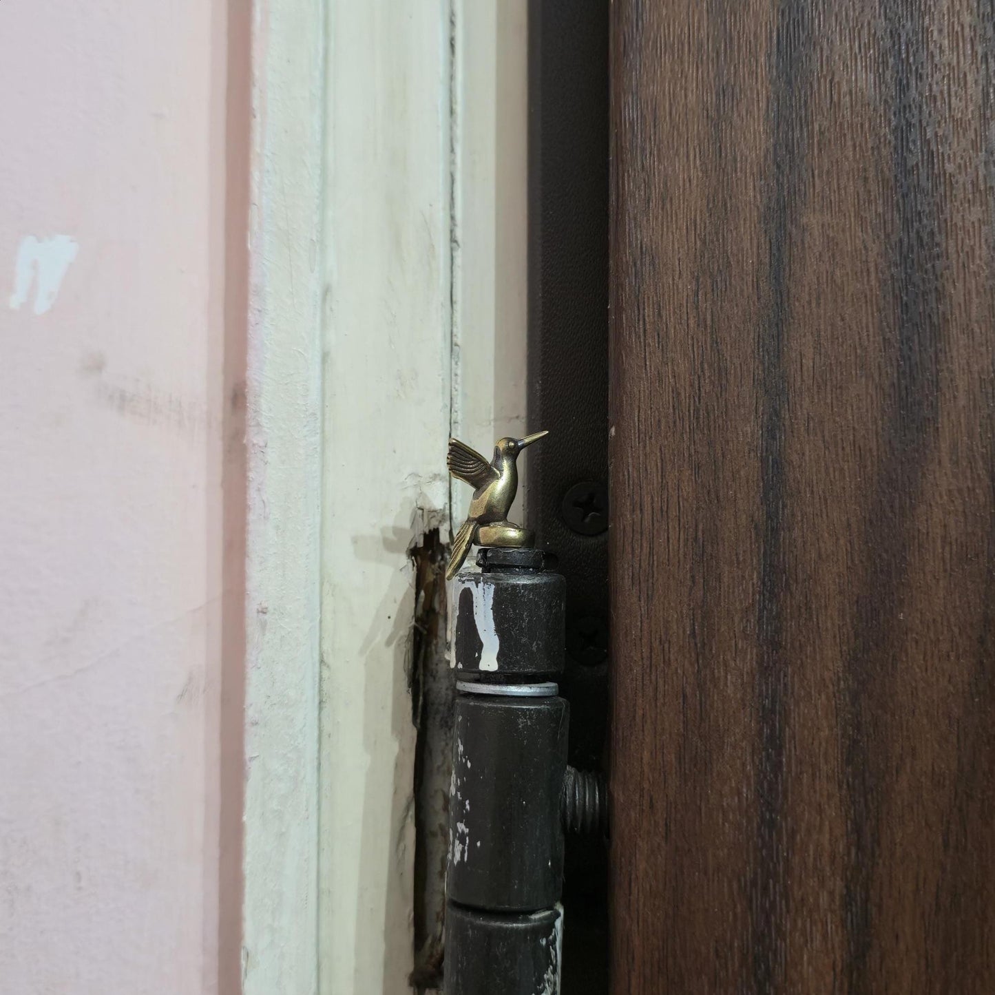 Hummingbird Hinge Head