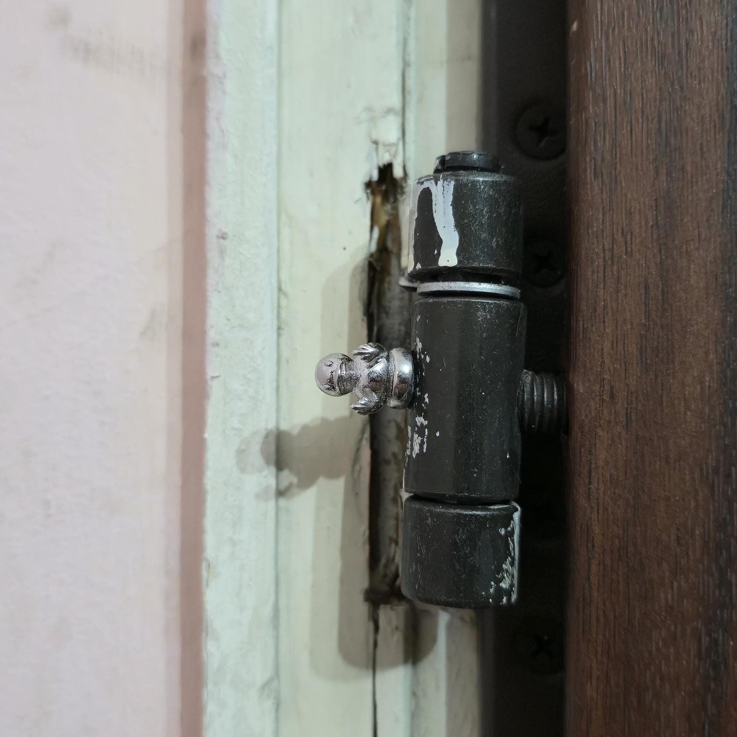 Funny Duck Hinge Head