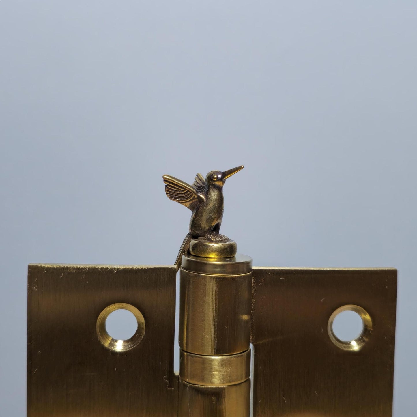 Hummingbird Hinge Head