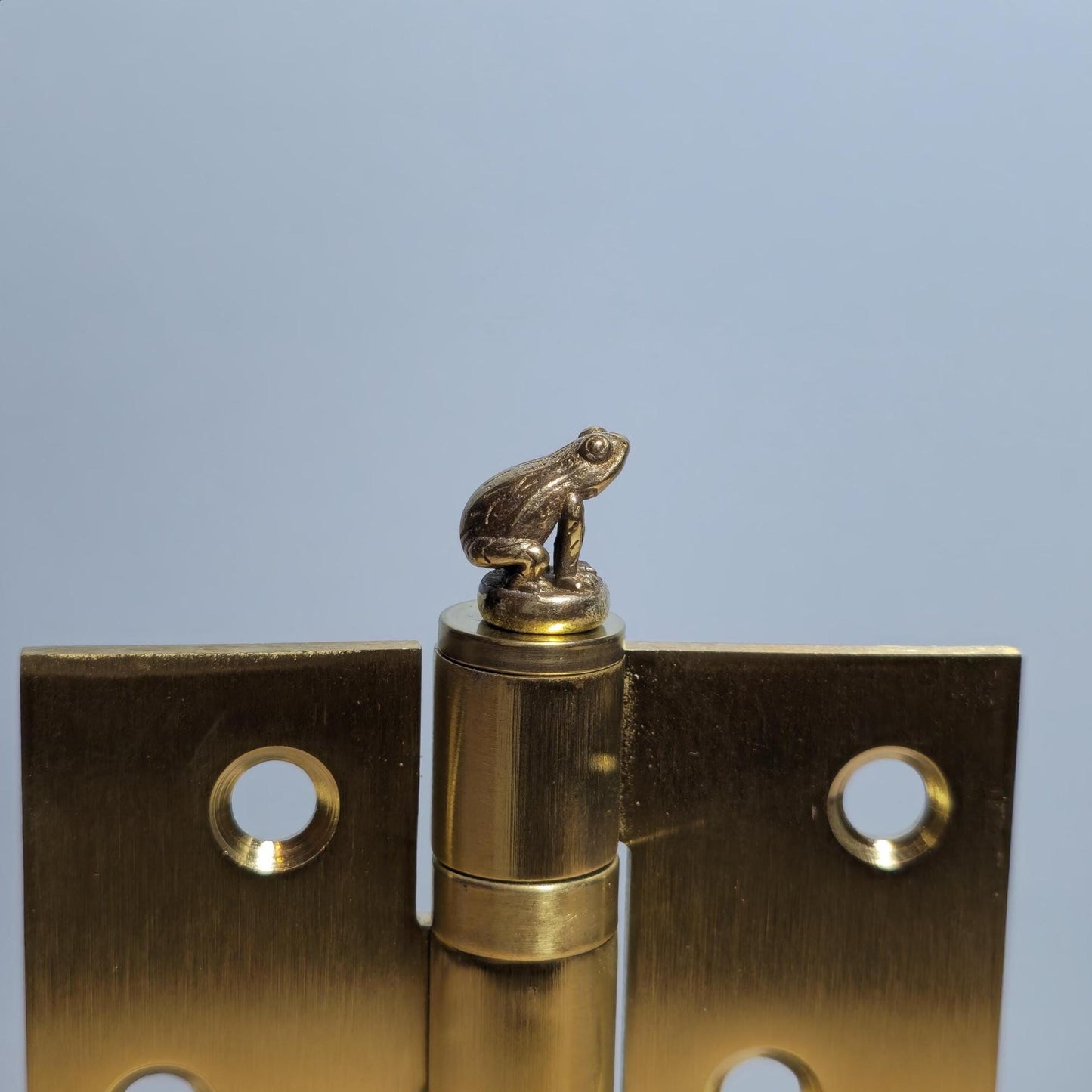 Frog Hinge Head