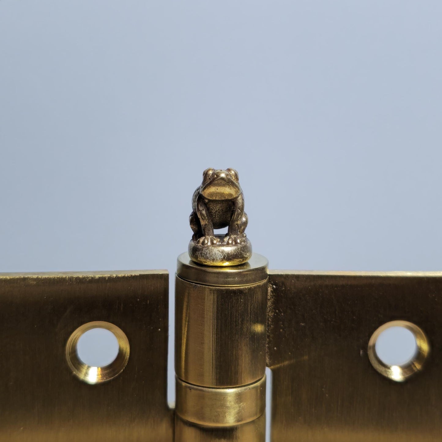 Frog Hinge Head