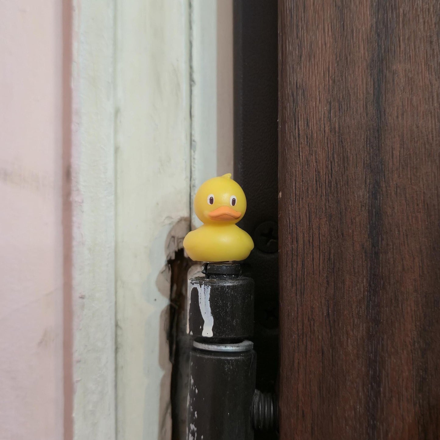 Yellow Duck Hinge Head