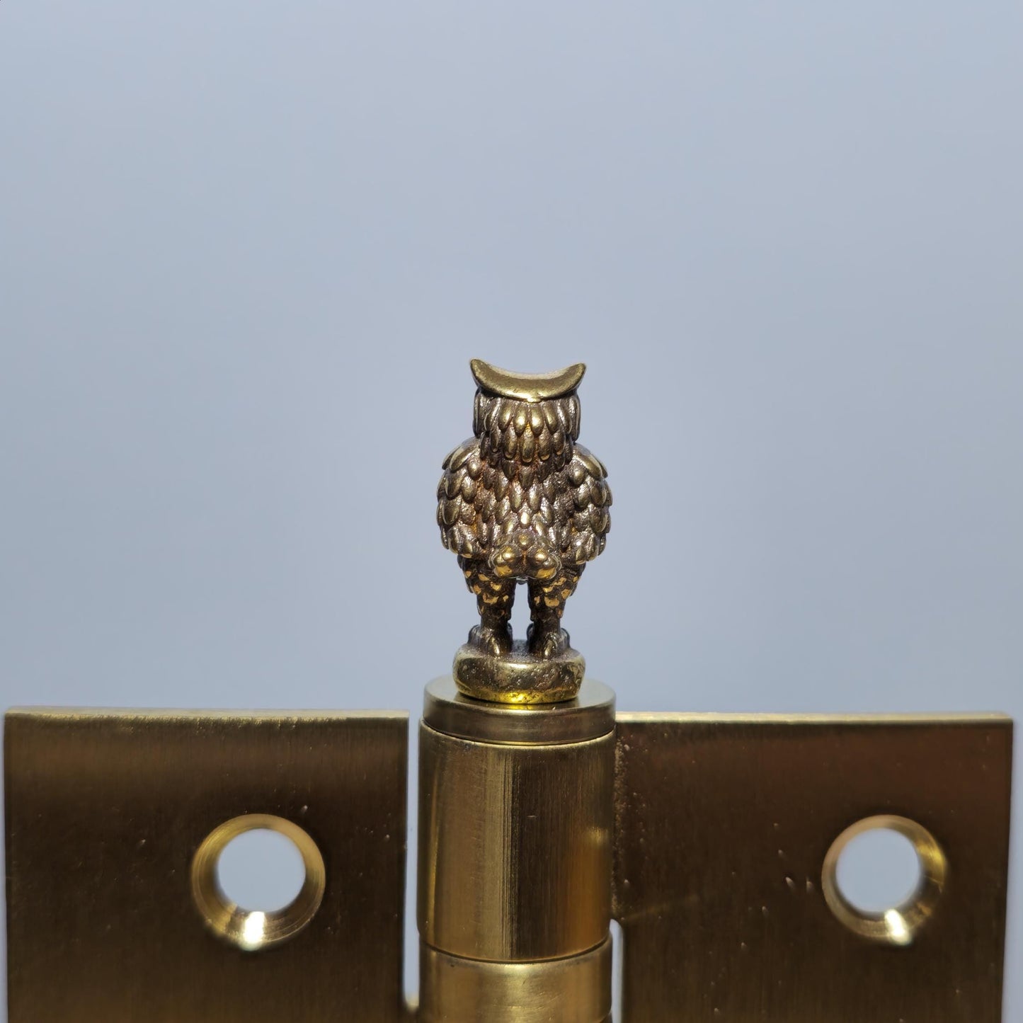 Owl Hinge Head