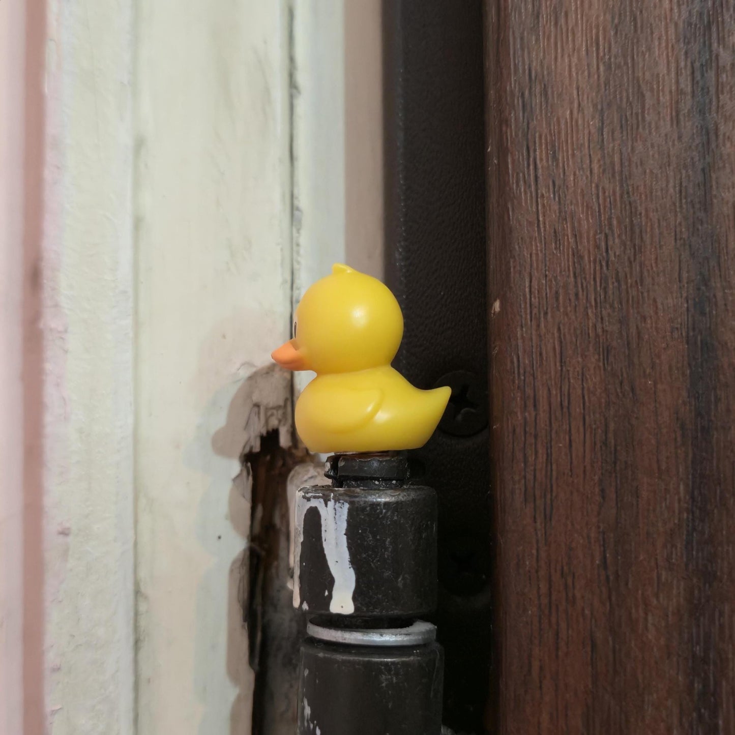 Yellow Duck Hinge Head