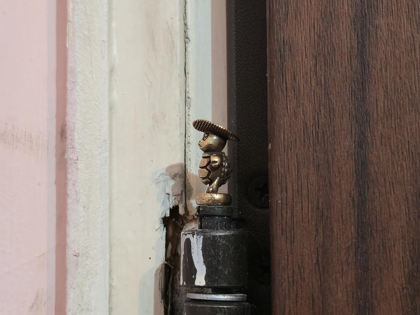 Turtle Hinge Head with Hat