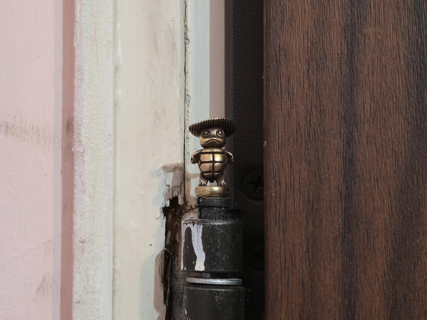 Turtle Hinge Head with Hat