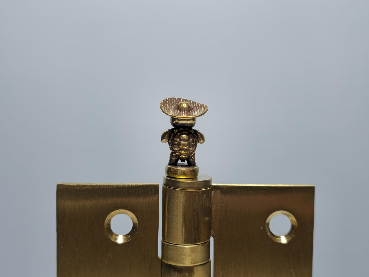 Turtle Hinge Head with Hat