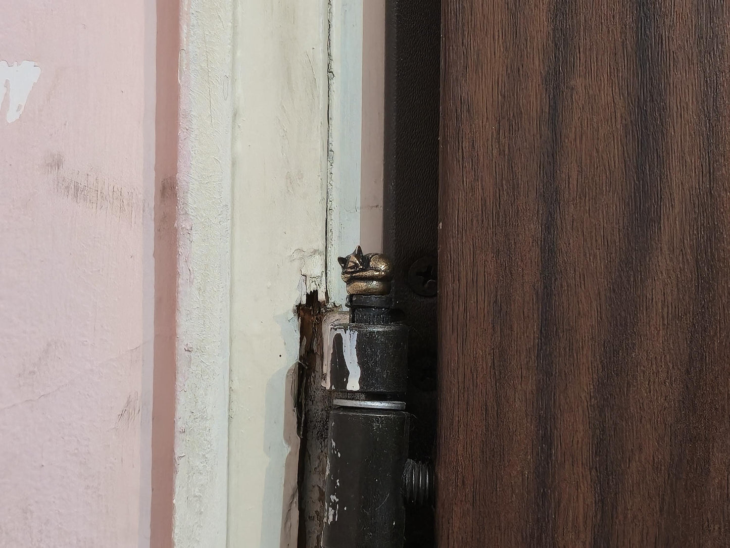 Little Kitten Cat Hinge Head Topper